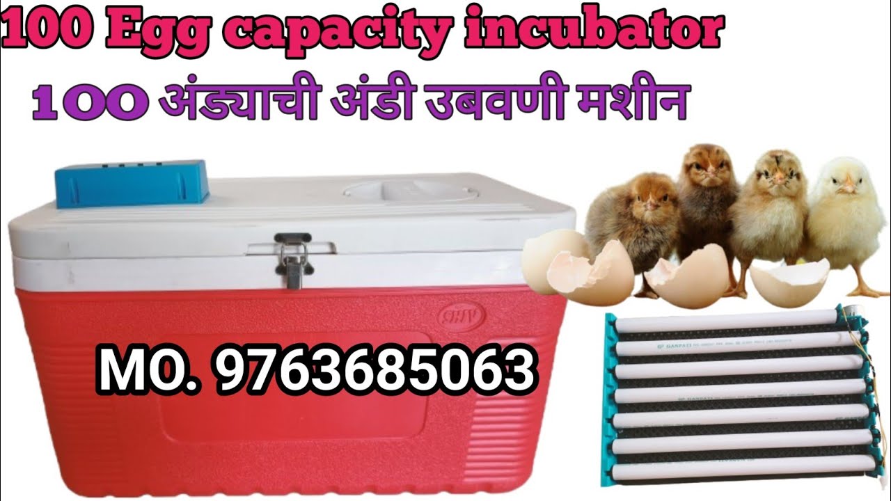 100 अंड्याची अंडी उबवणी मशीन |100 Egg capacity incubator