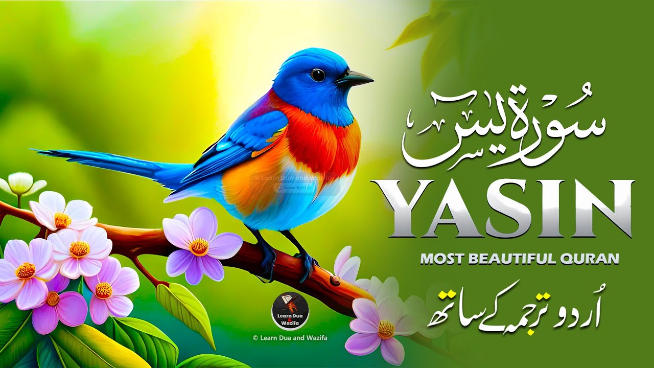 Surah Yasin (Yaseen) سورة يس | Peaceful & Soothing Quran Recitation for Deep Relaxation #surahyaseen