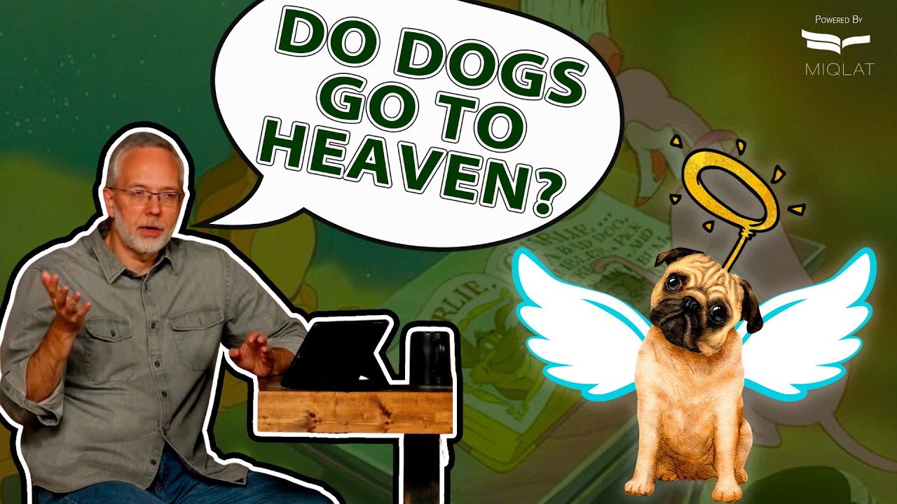 Do Animals Have SOULS?