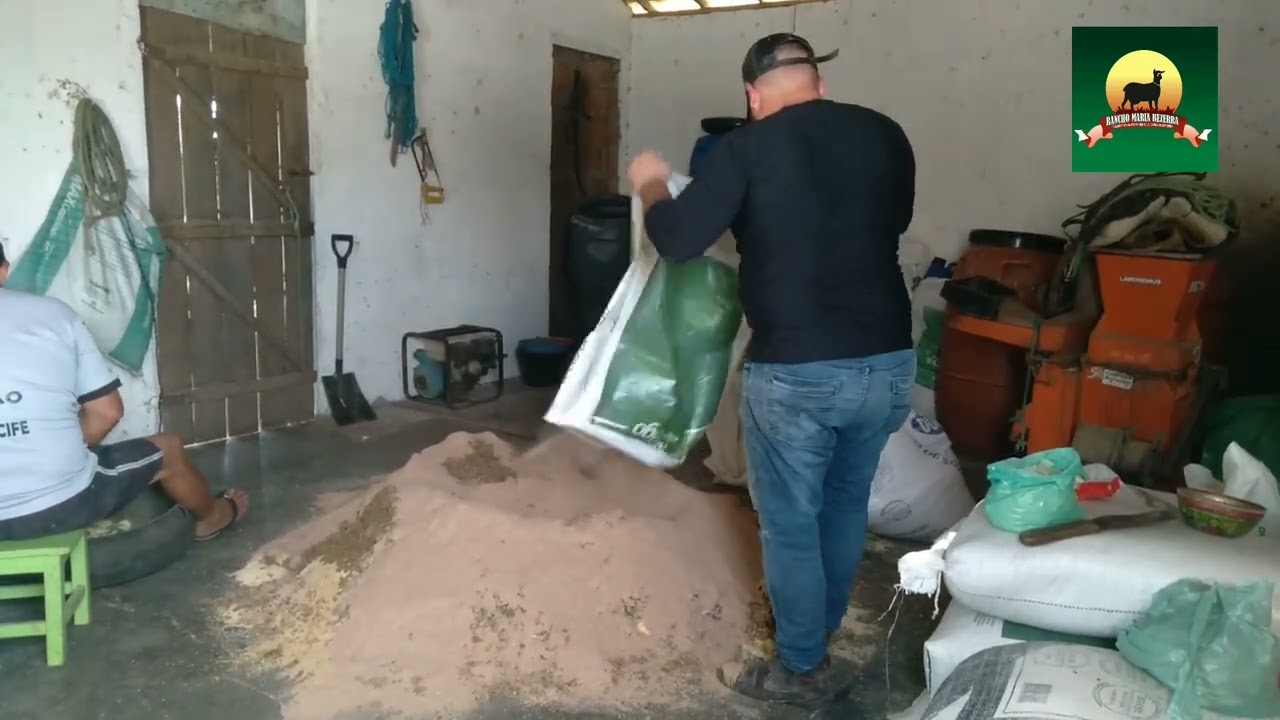 Ração para cabra leiteira