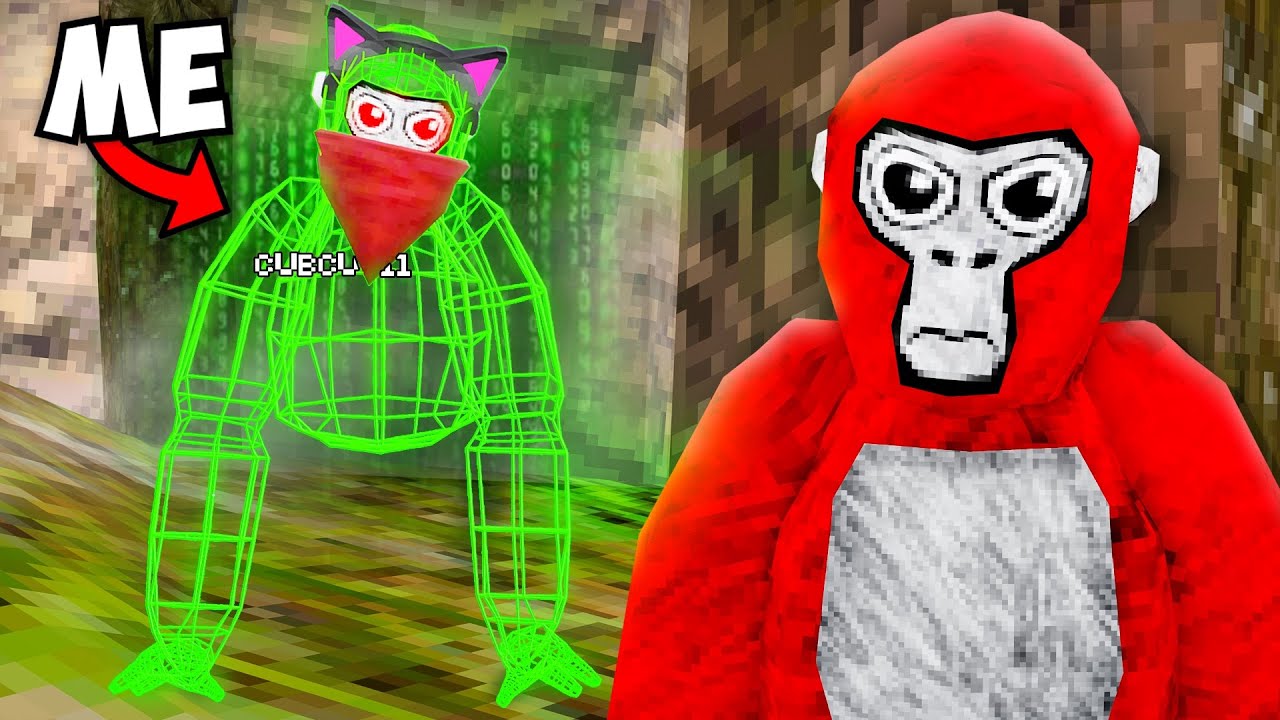 I Player Tracked EVERYONE In Gorilla Tag&hellip;