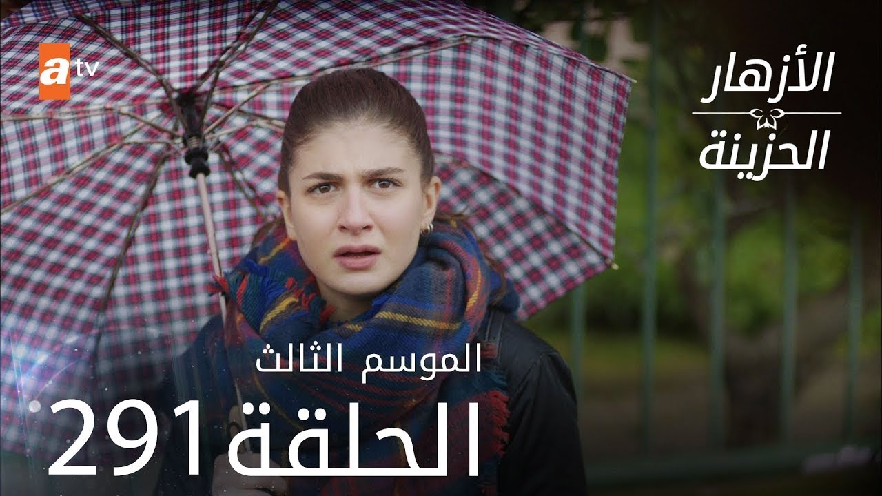 مسلسل الأزهار الحزينة | الحلقة 291 - الموسم الثالث