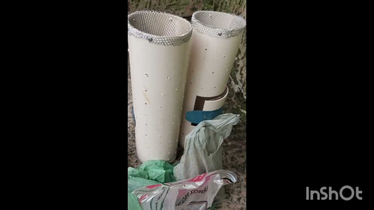 fiz três armadilha pra pegar caranguejo para meu amigo Maurício.