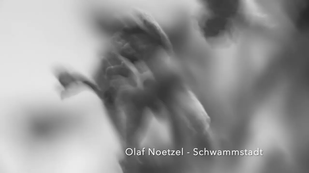 Olondro- Schwammschadt (Tour De Traum 30)