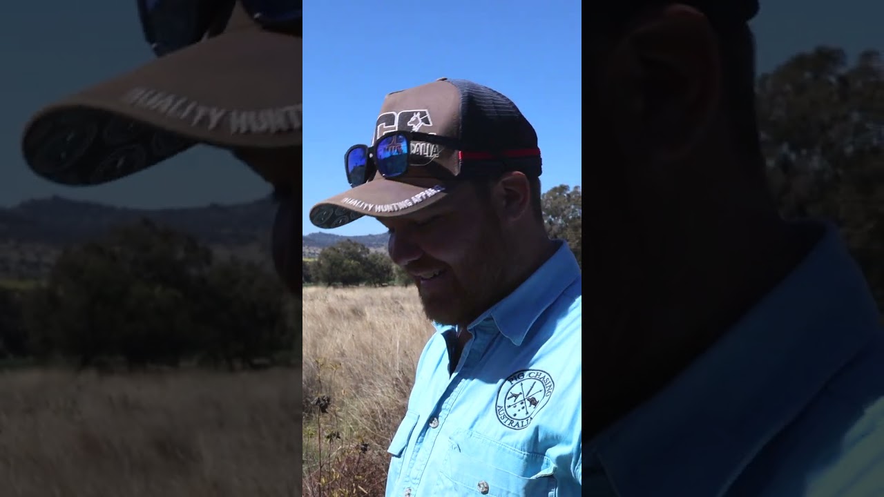If you missed it! @PigChasingAustralia1  have blessed us with a rig run down 🐾 #apboxes 