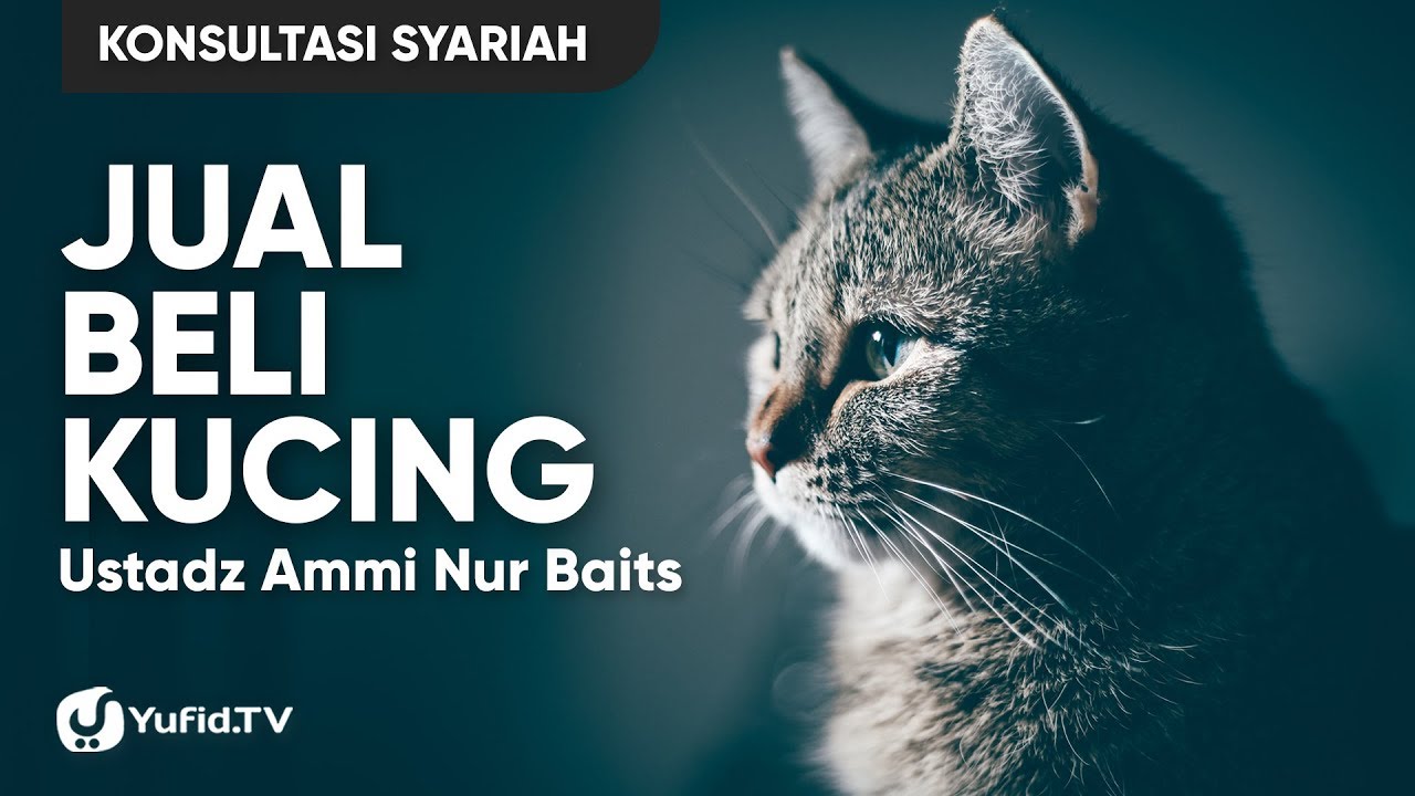 Jual Beli Kucing - Ustadz Ammi Nur Baits - Konsultasi Syariah