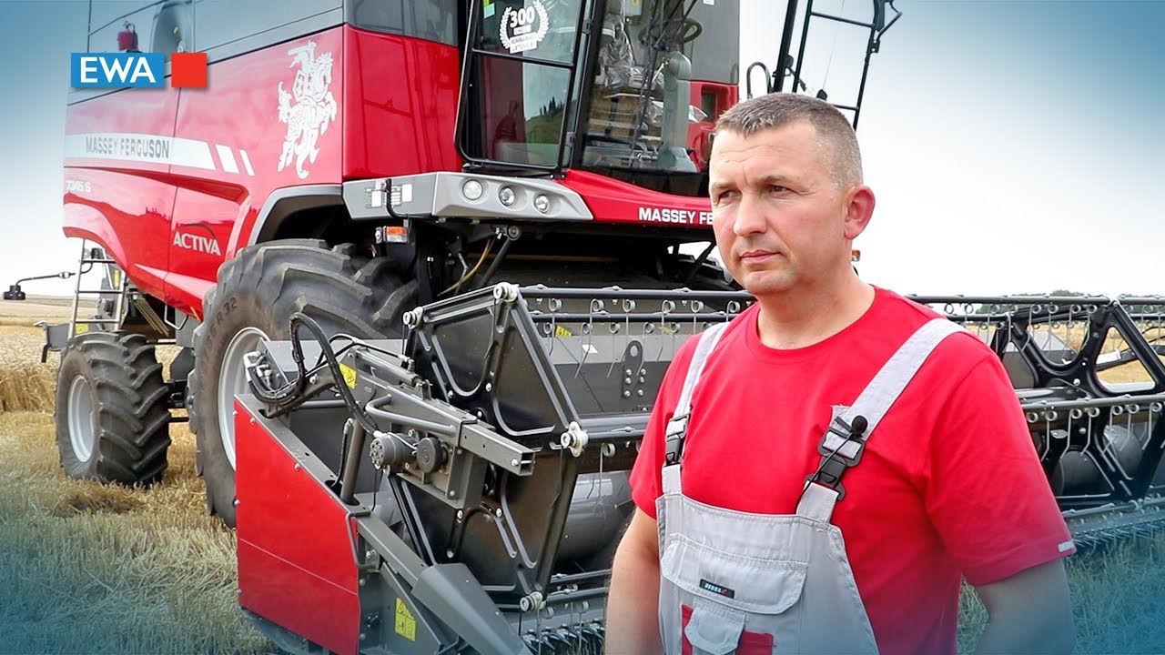 300 MF kombainas Lietuvoje. Ūkininko atsiliepimas