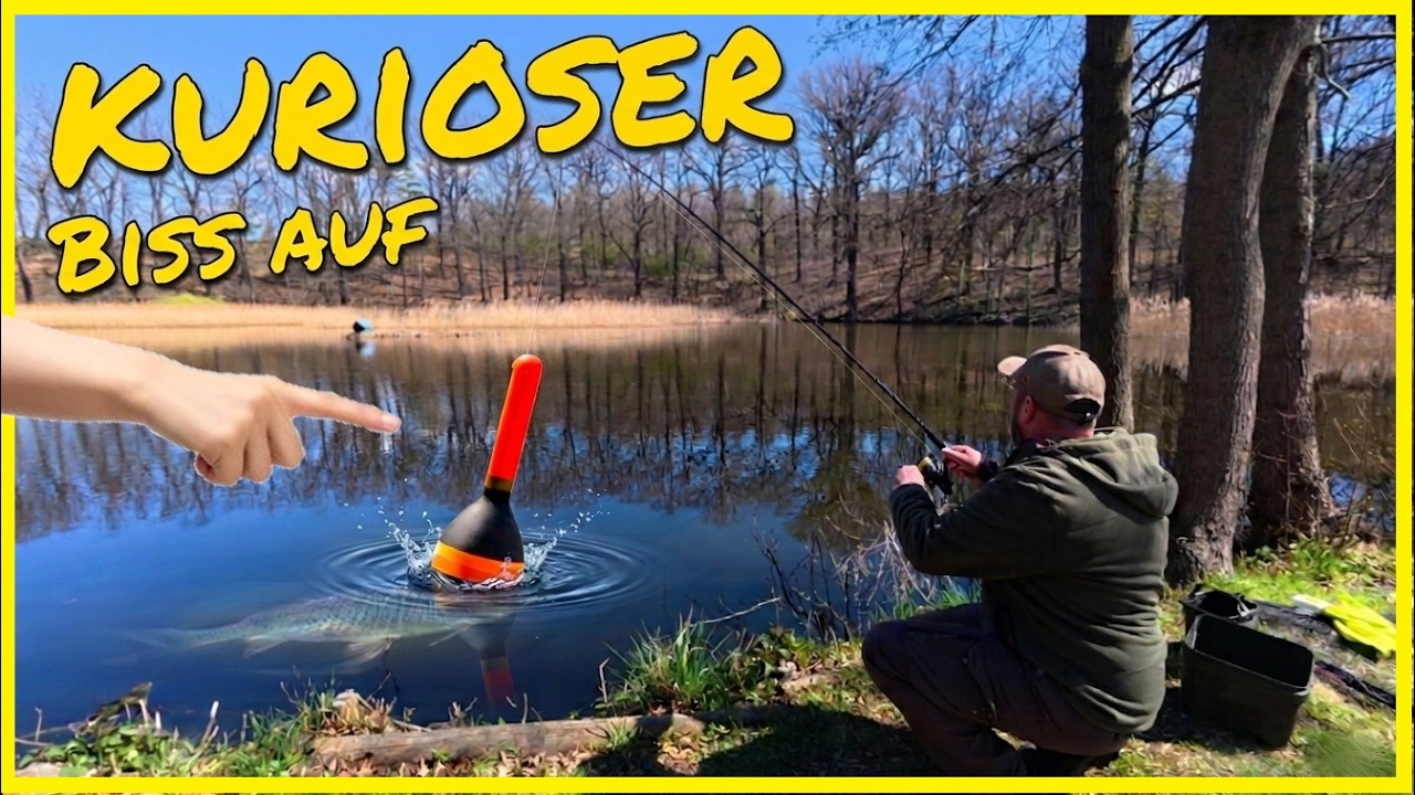 Allround-Angeln im Fr&uuml;hjahr am kleinen Teich: Welche K&ouml;der funktionieren jetzt?☀️🎣