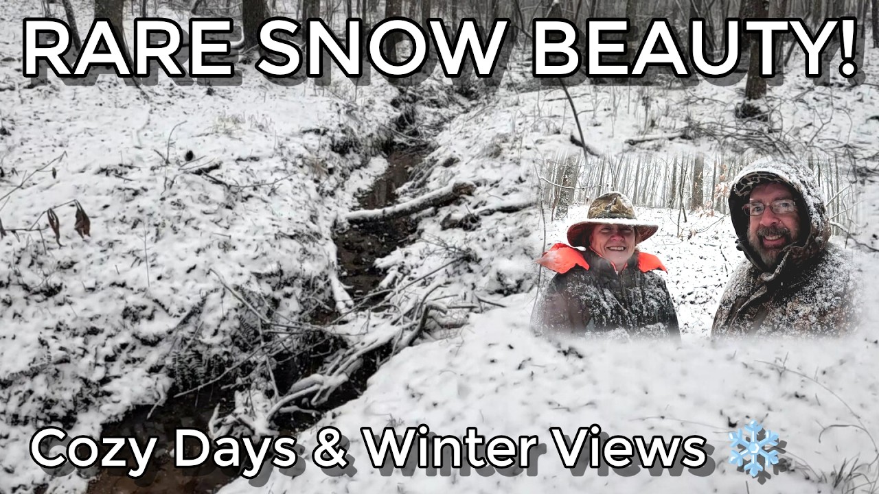 Rare Snowfall Beauty – Cozy Days at Home