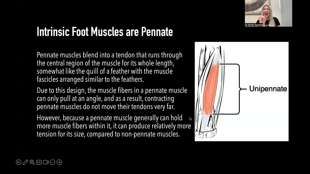 Unlocking Toe Flexor Strength | Foot Flexors & Functional Movement with Dr Emily Splichal