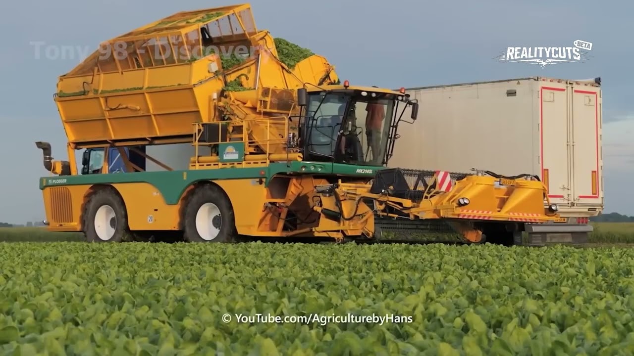 Harvest Tech Evolution: Apples to Grain Combines