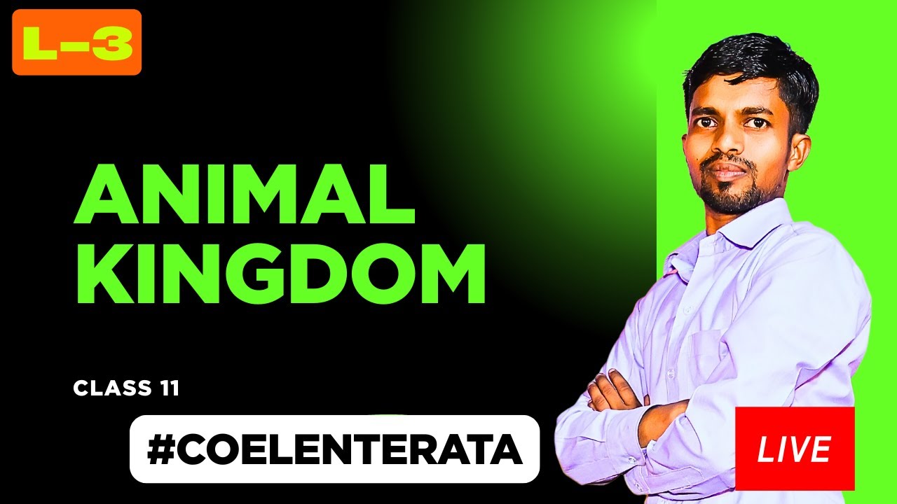 Coelenterata // Animal kingdom //class 11 biology // L-3