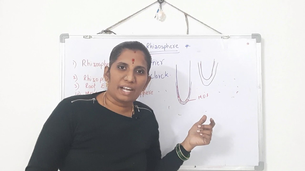 Rhizosphere part -1 sem-5 paper -5