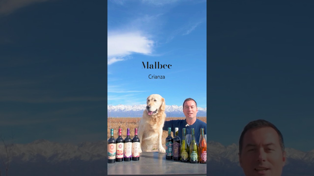3SAPAS Malbec Crianza from the Andes 🍷 | Fresh & Vibrant Malbec