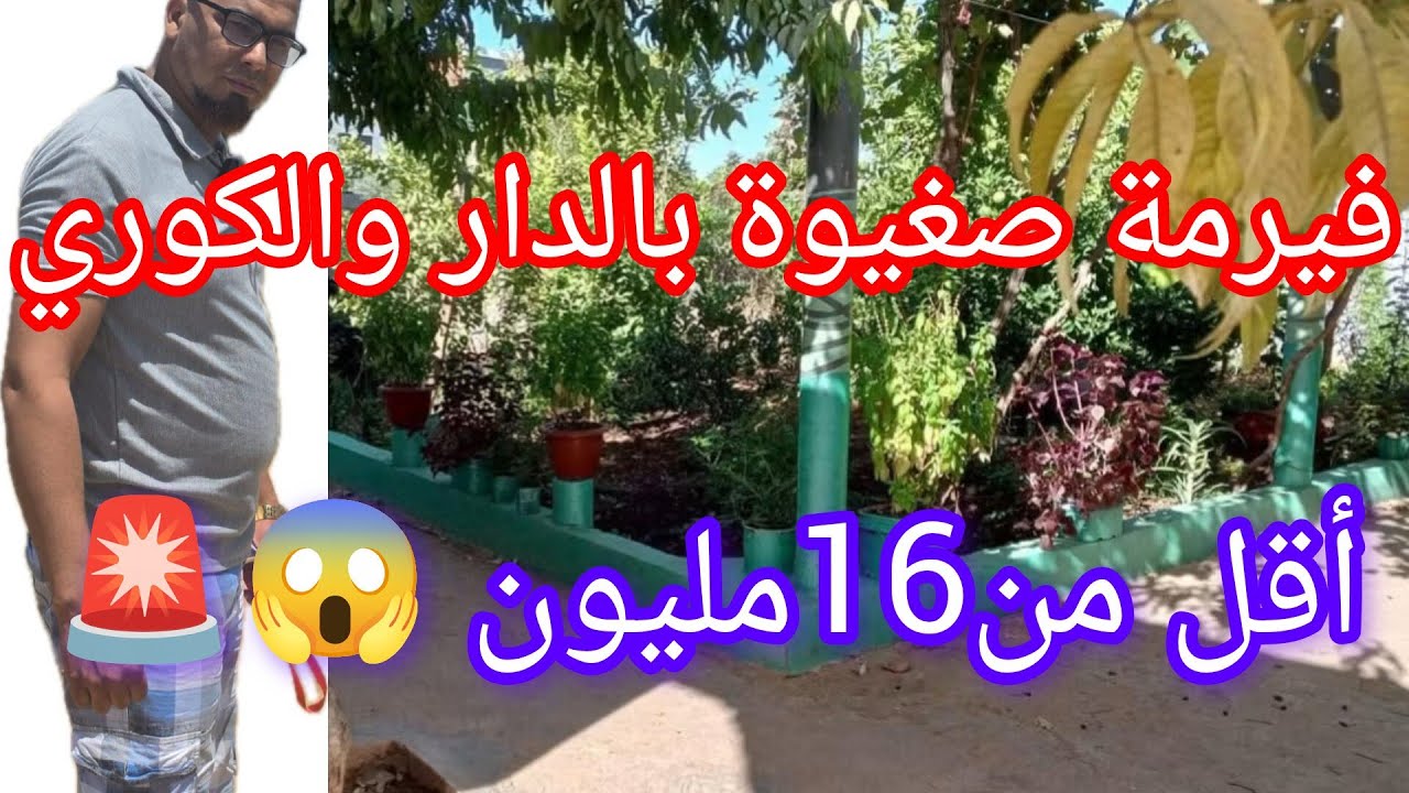 الهمزة لي كاتقلبو عليها فيرمة صغيرة اقل من16مليون 😱@عقارات الشيخ