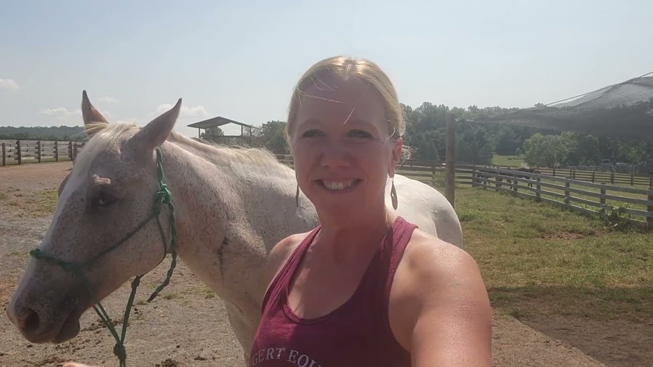 Signs of Weak Stifles in Horses