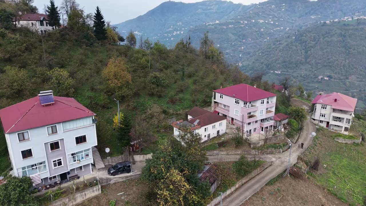 Şalpazarı il&ccedil;esi-&uuml;z&uuml;m&ouml;z&uuml; mahallesi