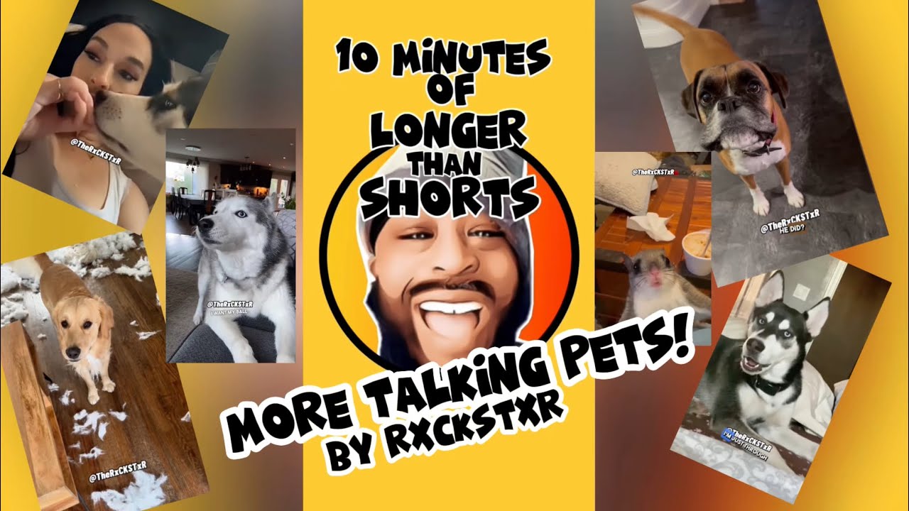 10 минут разговоров с животными, которые вас рассмешат! Автор: RxCKSTxR