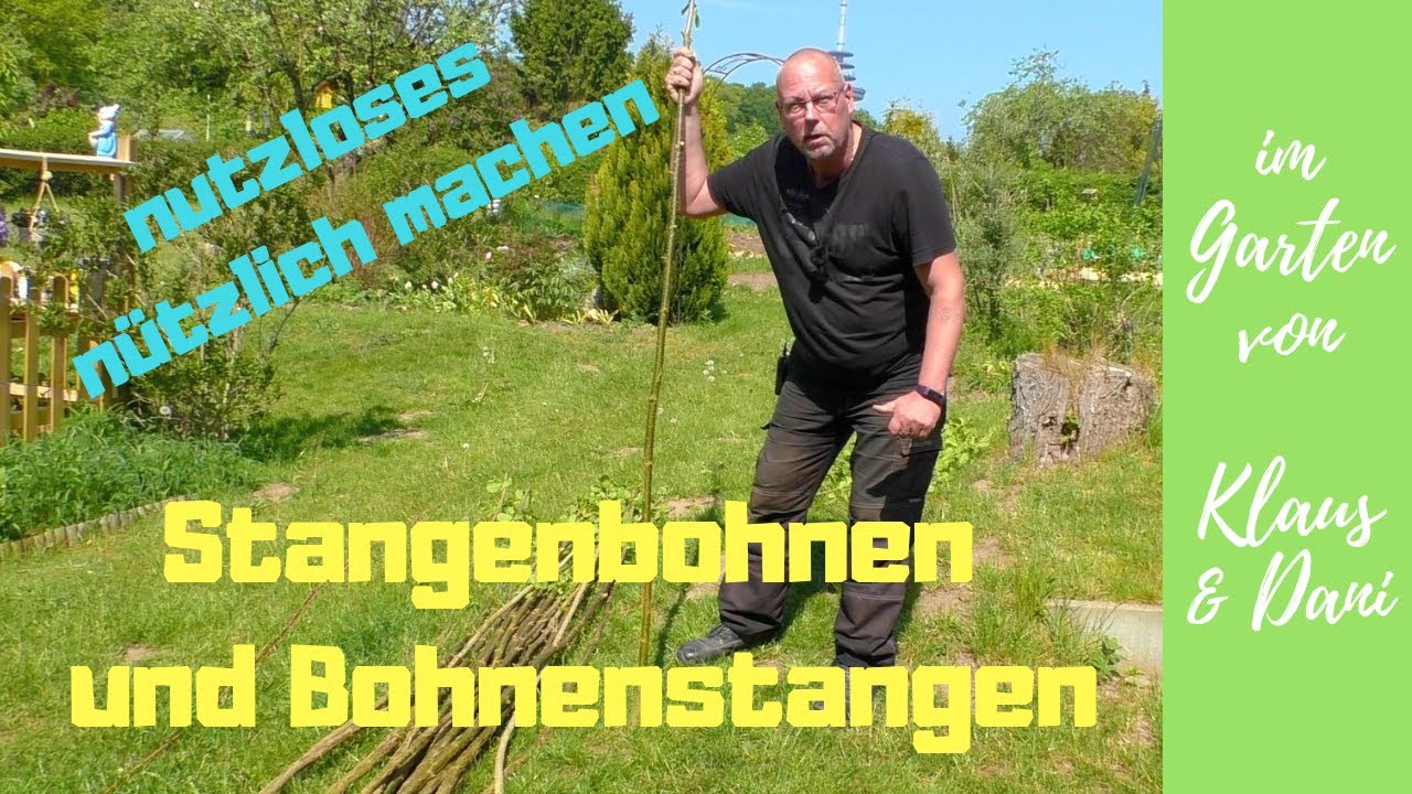Stangenbohnen und Bohnenstangen / nutzloses im Garten nützlich machen / unsere Bohnensorten