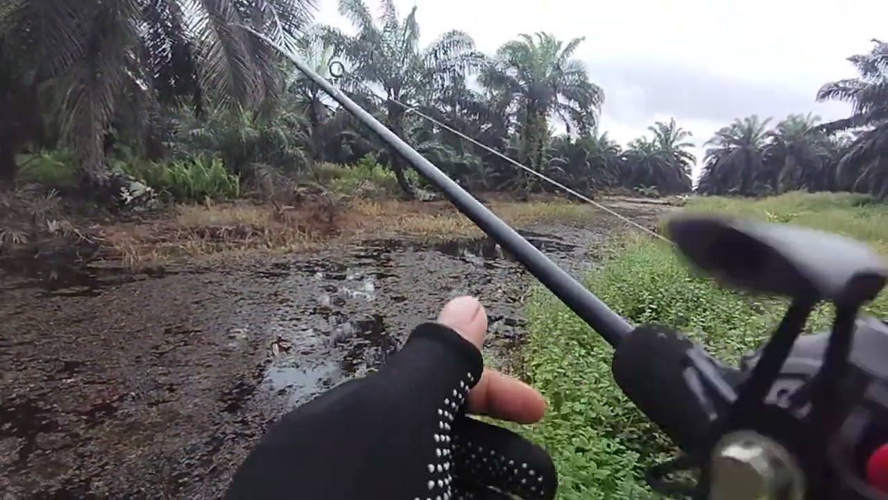 spot mancing di jambi