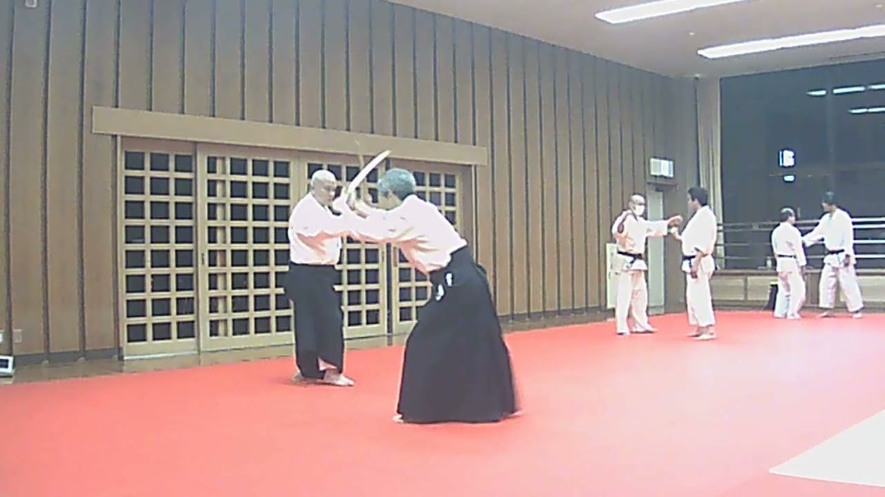 合氣道八和会　一の太刀　応用技　入り身