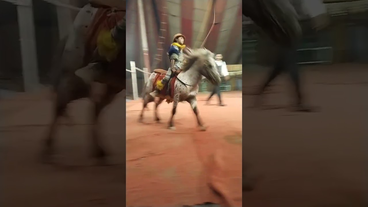 lucky Irani circus 🎪🎪🎪 