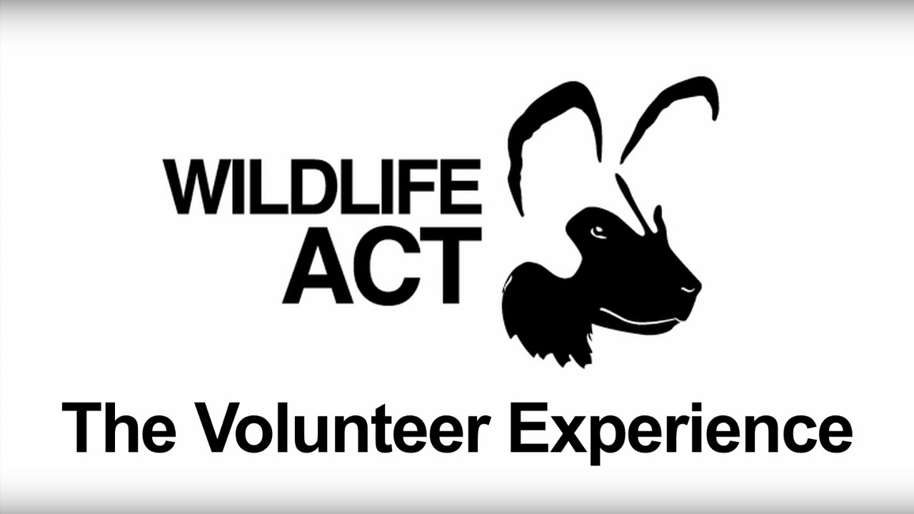 The Wildlife ACT Endangered Animal Conservation Experience