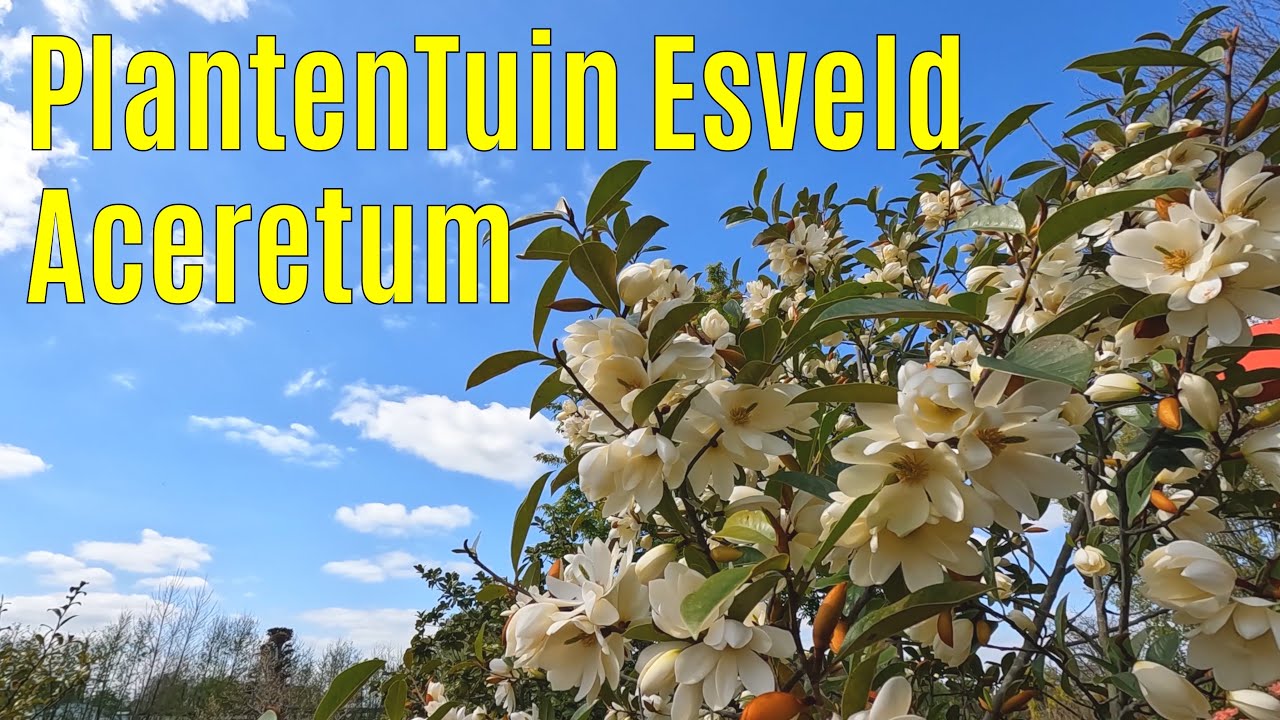 PlantenTuin Esveld   Aceretum 2023-05 part 1