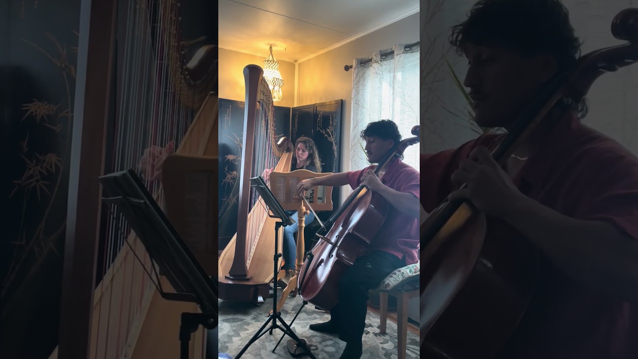 Harpist and cellist cover “The Christmas Song” 