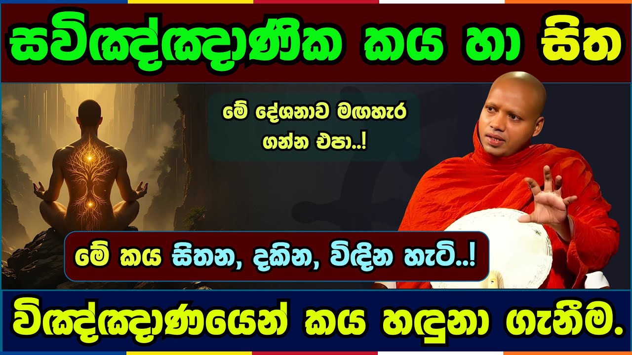 සවිඤ්ඤාණික කය හා සිත | Hasalaka seelavimala thero | හසලක සීලවිමල හිමි | #බණ #ධර්මදේශනා