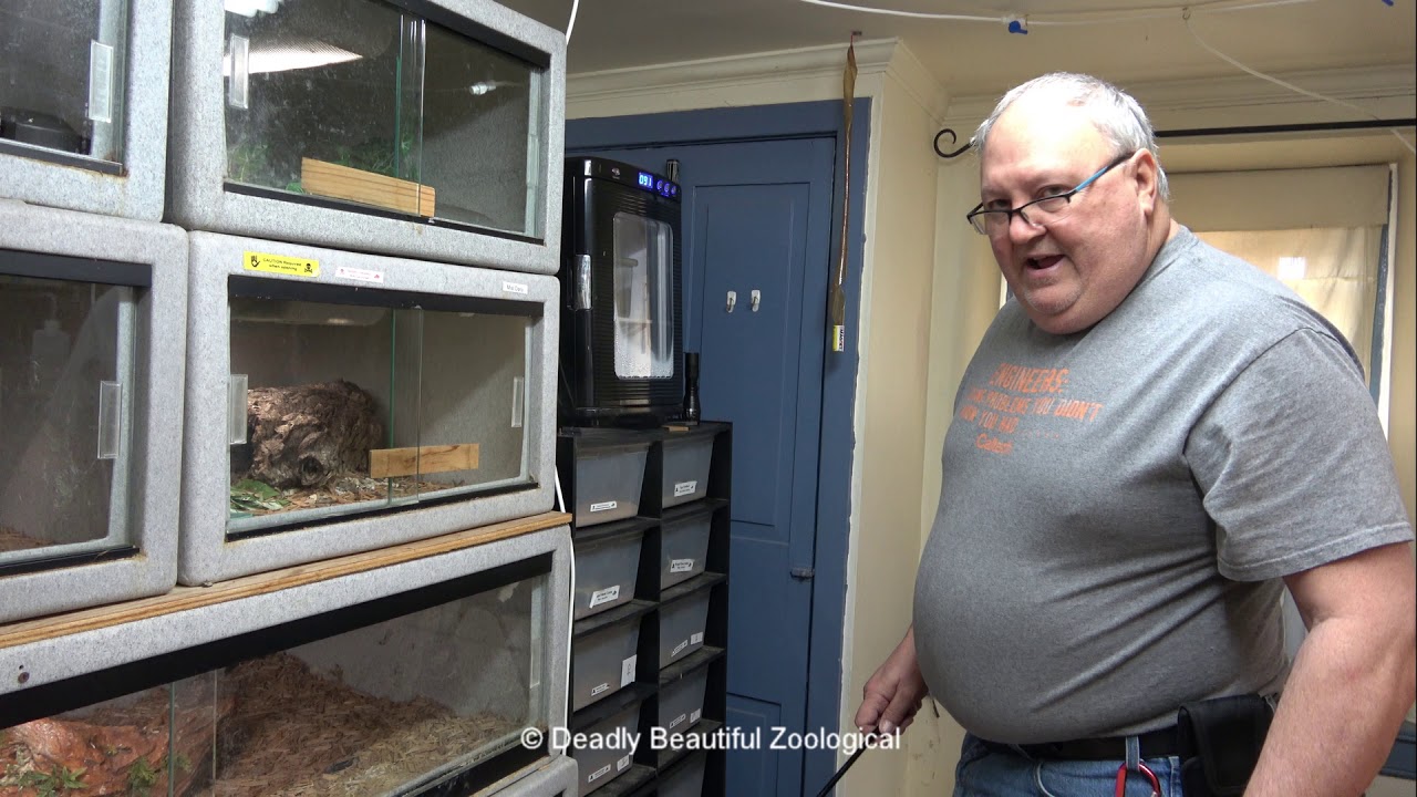 Ядовитое домашнее хозяйство