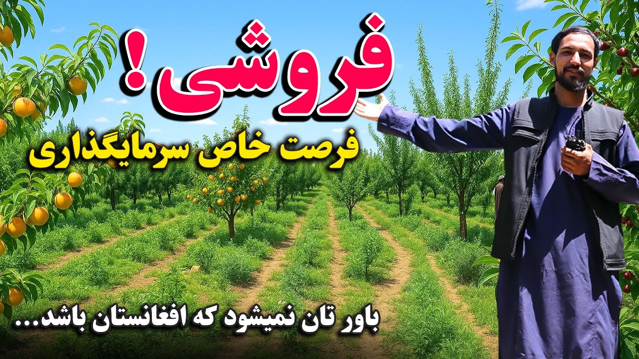 حیف است که این ملک را نخرید / فروش عاجل باغ خاص افغانستان / قیمت مناسب با جور آمد/ عجله کنید عزیزان