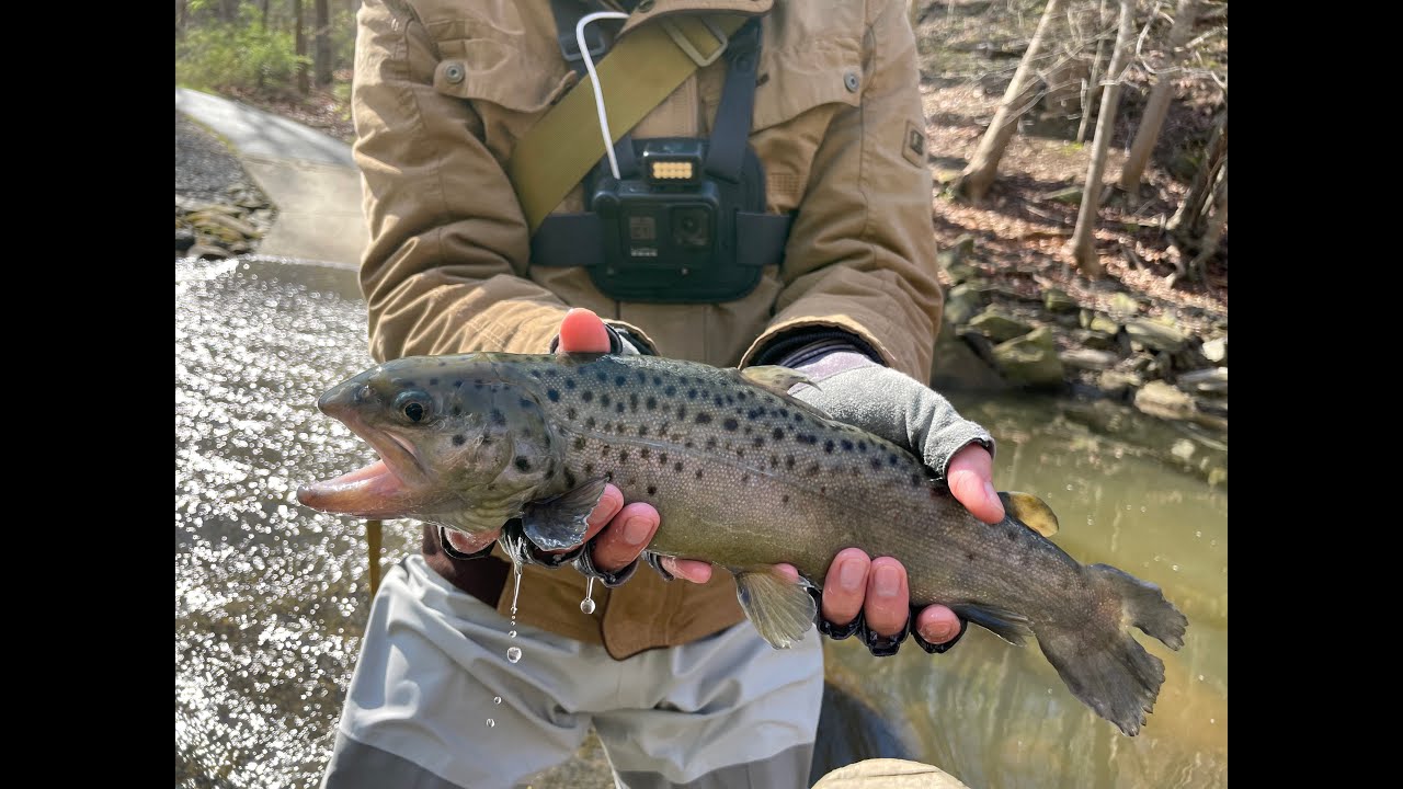 BFS Trout Fishing at Holmes Run, Virginia