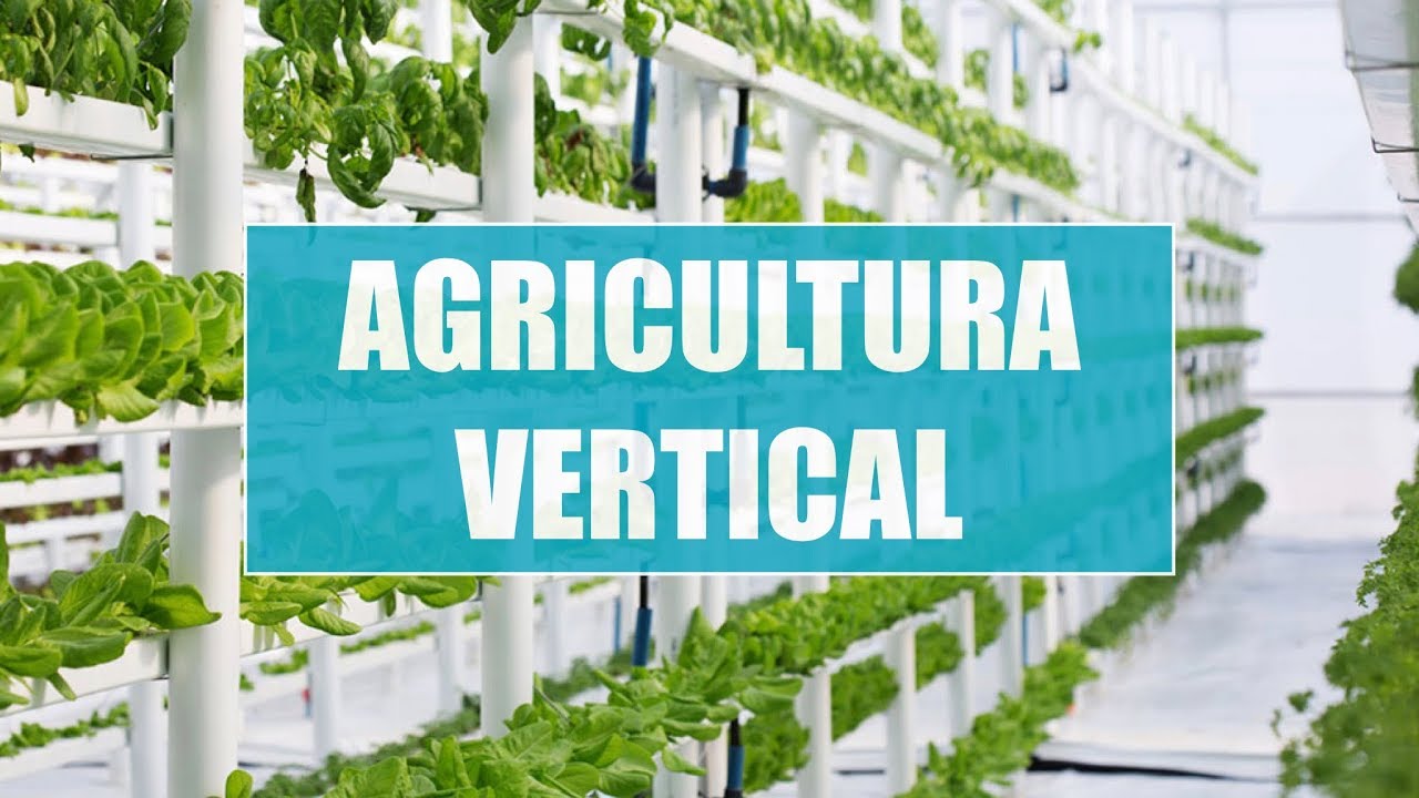 Granjas verticales| El futuro de la agricultura| Tendencias Tecnológicas