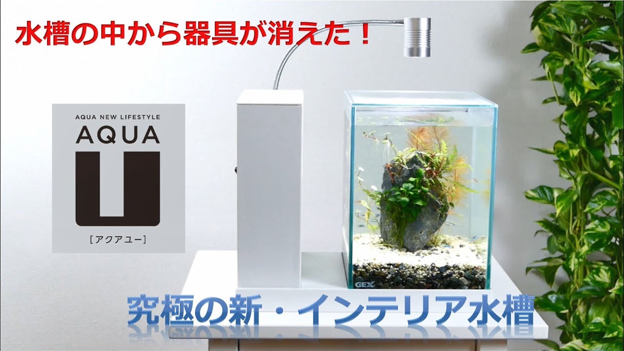 独自の構造、インテリア水槽　AQUA-U