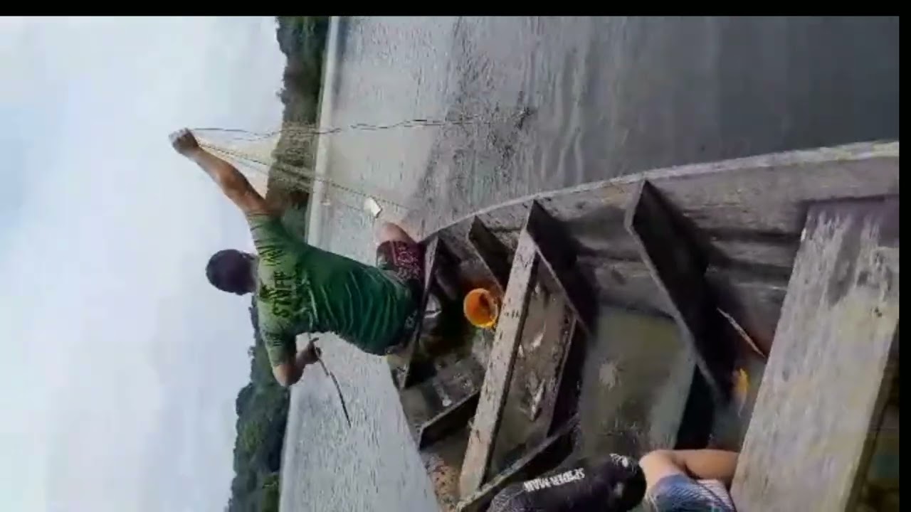 Peixes diferentes da Amazônia. 