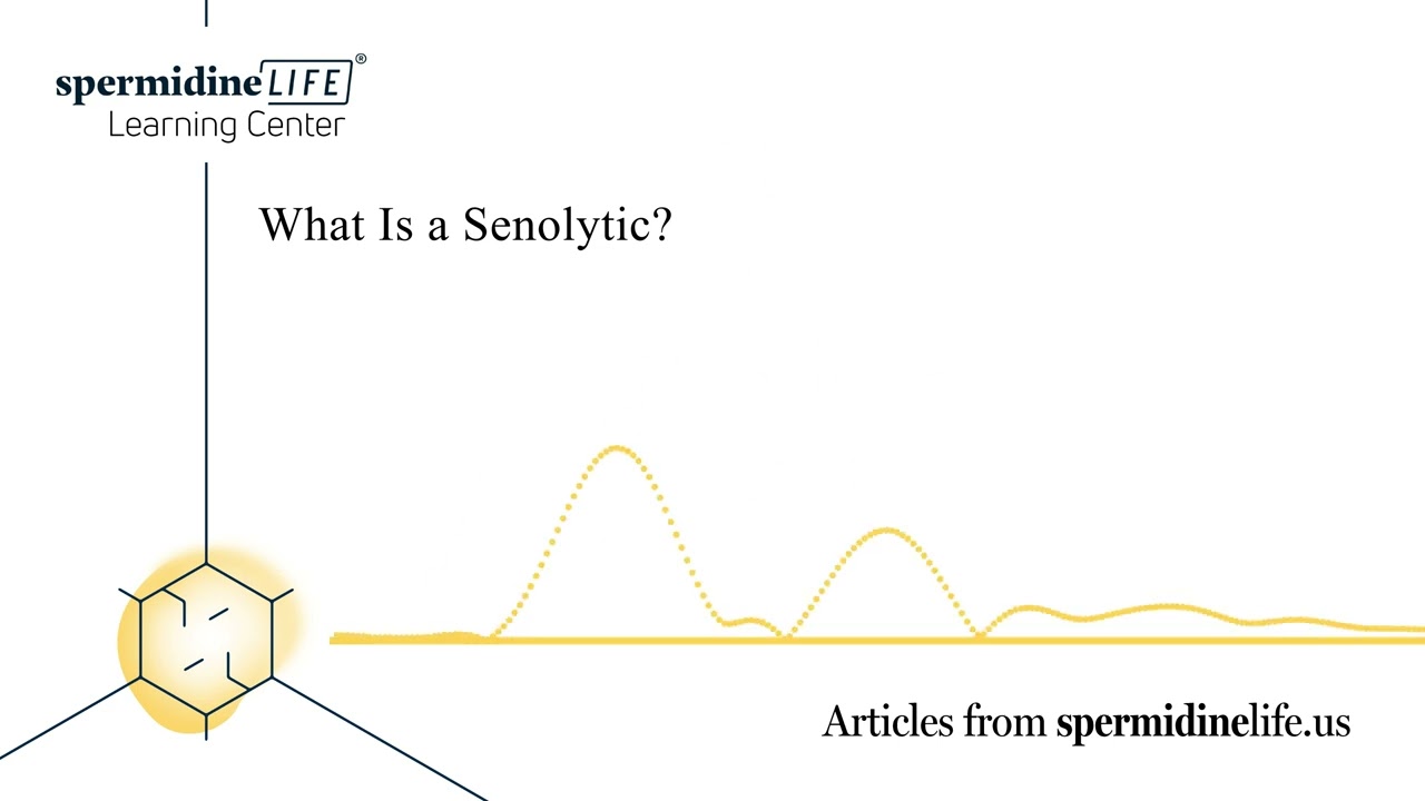 What Is a Senolytic? | Cellular Senescence Explained | Longevity Secrets | Cellular Health