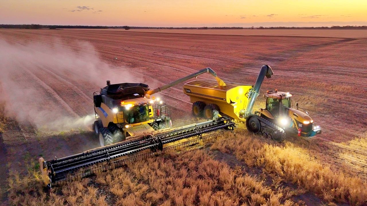 Harvest in Australia | Drone Compilation | Amazing sunsets