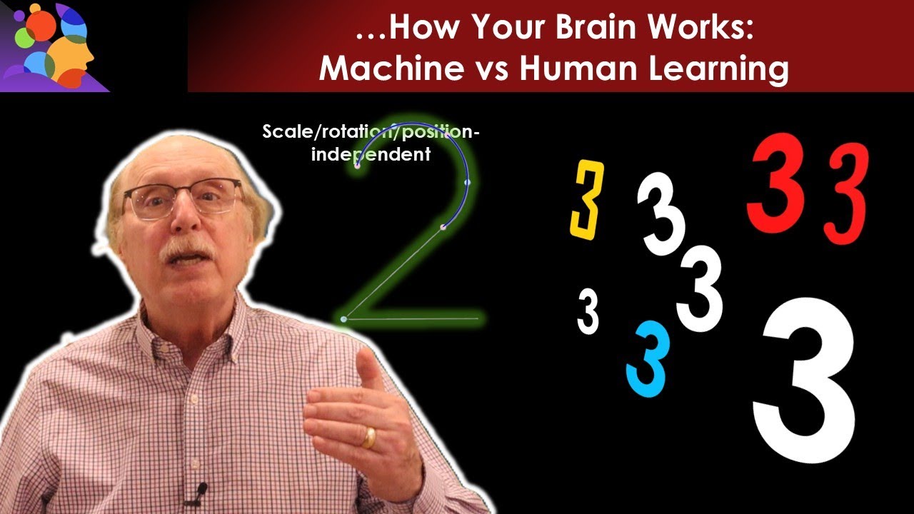 Machine Learning vs Human Learning: They’re Not the Same
