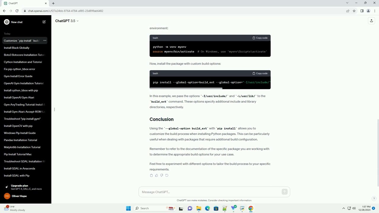 pip install global option build ext