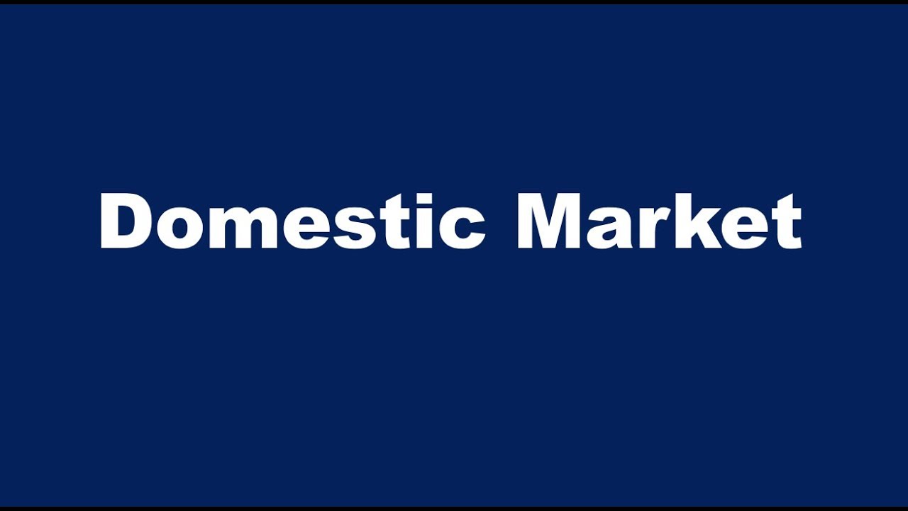 What is the Domestic Market?
