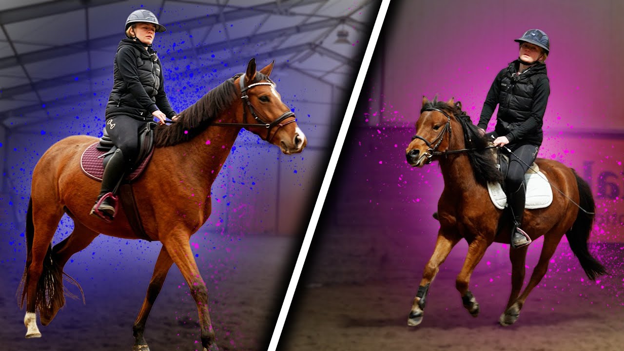 WR&Oacute;CIŁAM DO KUCYK&Oacute;W 🫣 | mały wypadek Lovki 