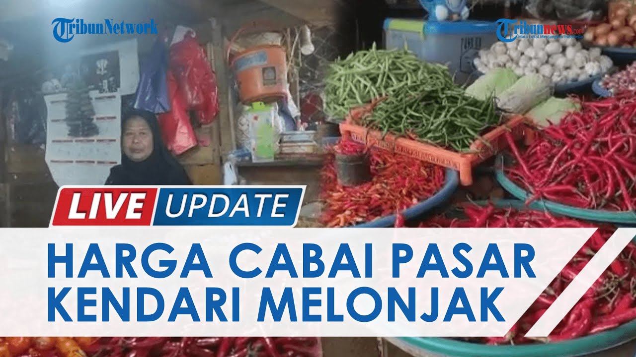Imbas Cuaca Tak Menentu, Harga Cabai di Kendari Meroket, Ada yang Capai Rp60 Ribu per Kilogram