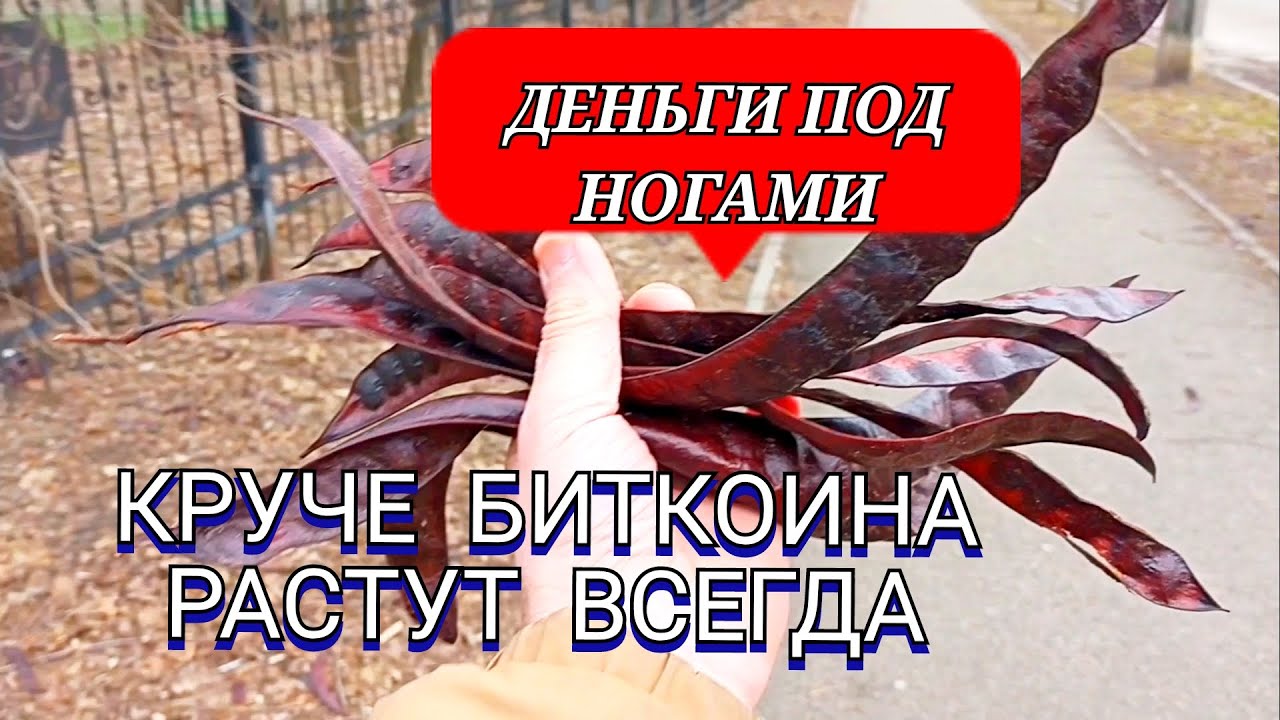 ЖИВЫЕ 