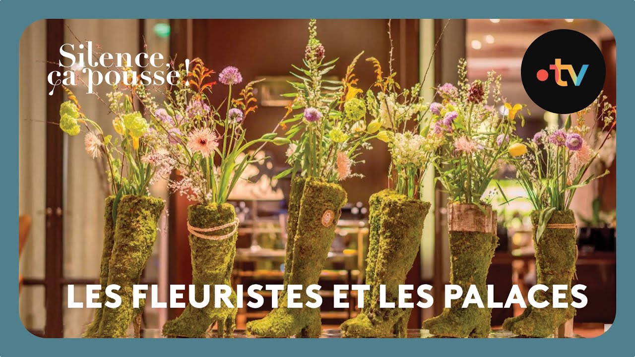 Les Fleuristes et les palaces - Silence ça pousse !