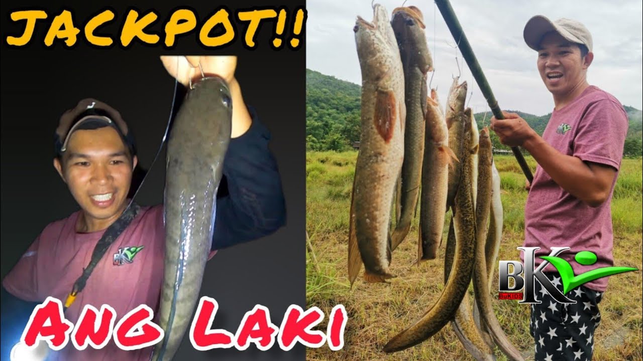336- PANGHUHULI NG DALAG AT PALOS GAMIT BUHAY NA PALAKA | CATCH AND COOK | BUHAY PROBINSYA | bukids