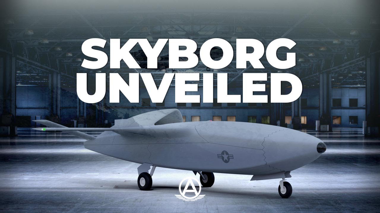 SKYBORG