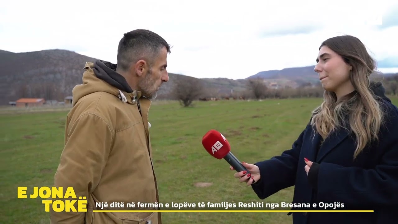 Një ditë në fermën e lopëve të familjes Reshiti nga Bresana e Opojës