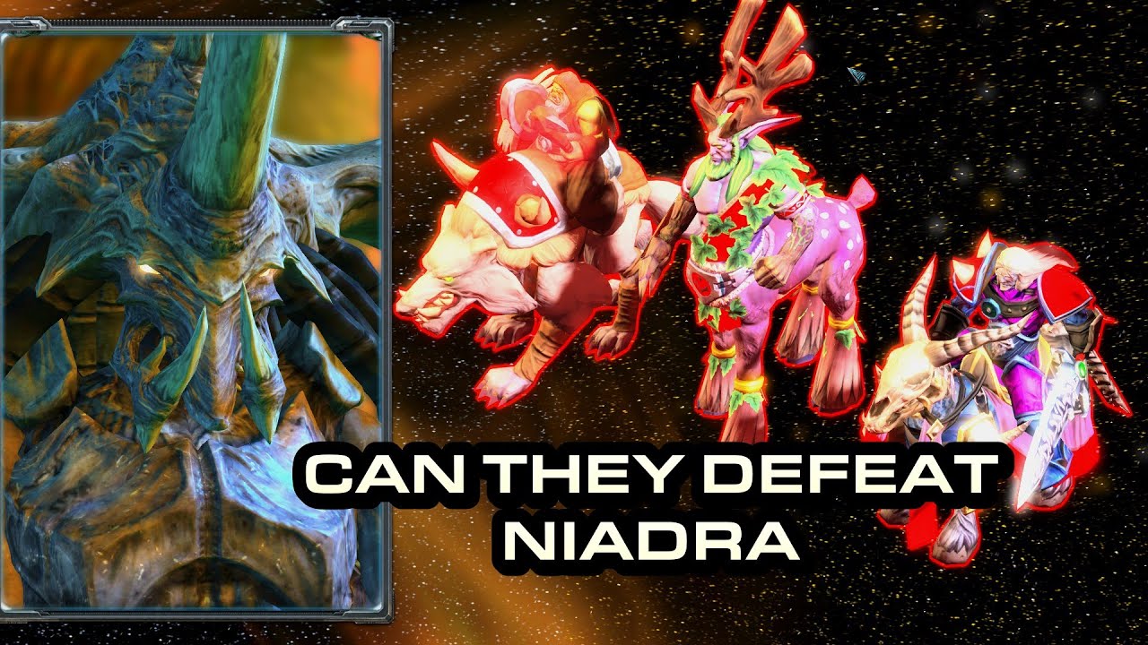Niadra Tries To Defeat The Death Knight | GLADIATOR #warcraft #starcraft
