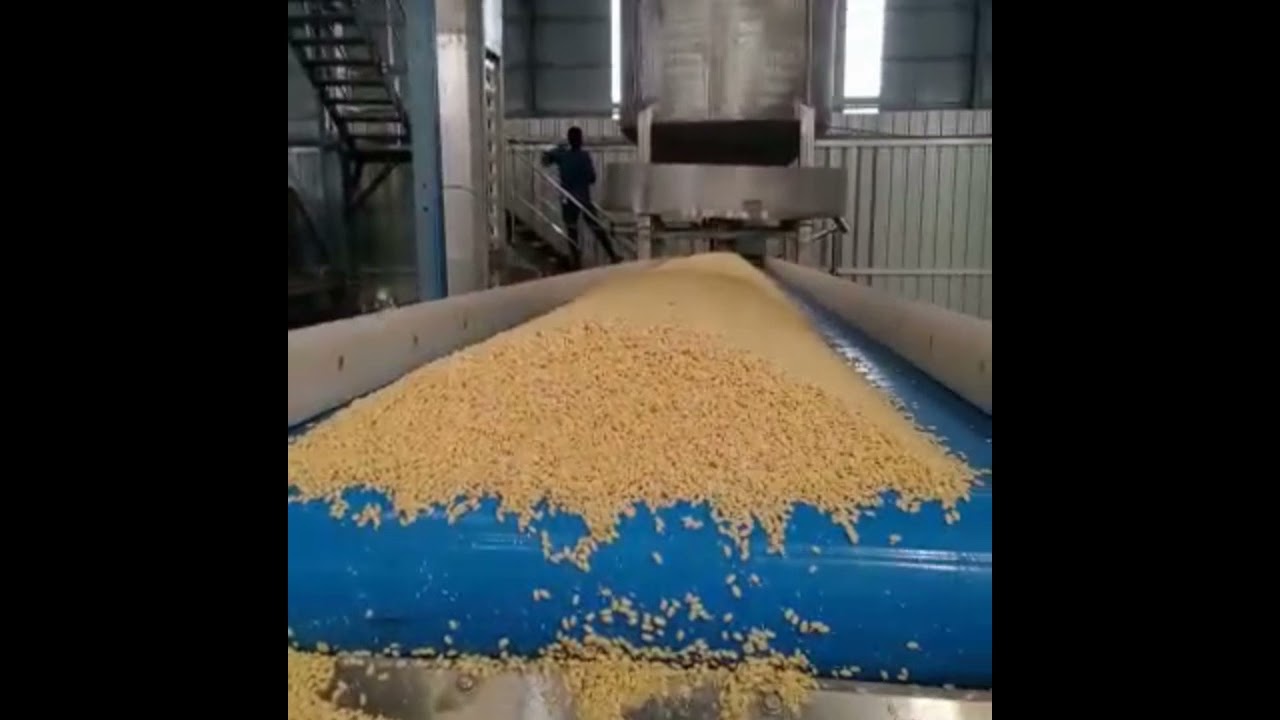 Moong Dal Washing & Dewatering Line From Kanchan Metals